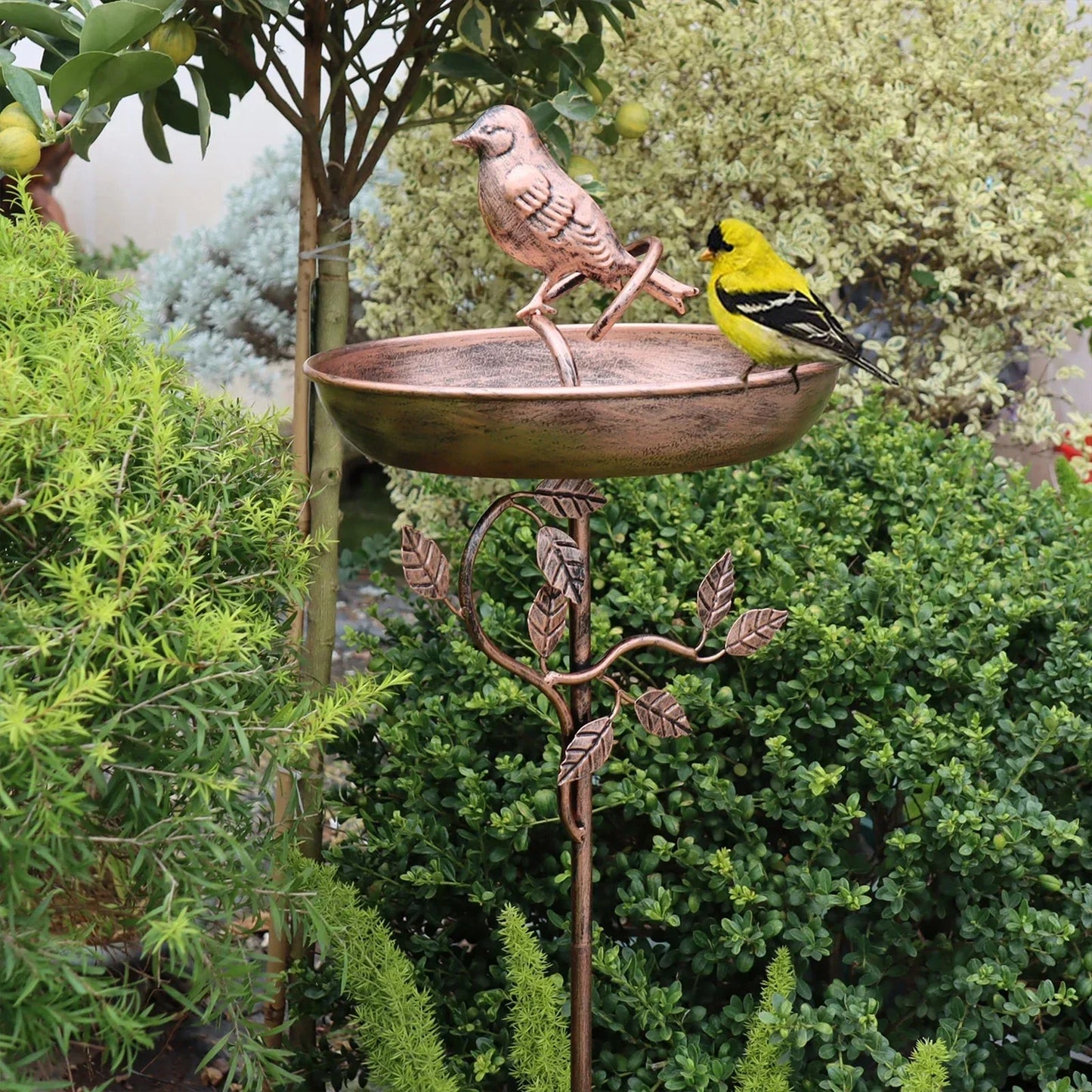Garden Bird Bath | Decorative Bowl | Stable Spike