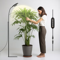 Glowrium Growth Light For Indoor Plants, 20W LED Plant Growth Light With Automatic Timer, Full Spectrum Adjustable Height Standing Plant Growth Light, 3 Light Modes, 6-Level Dimmable (Black)