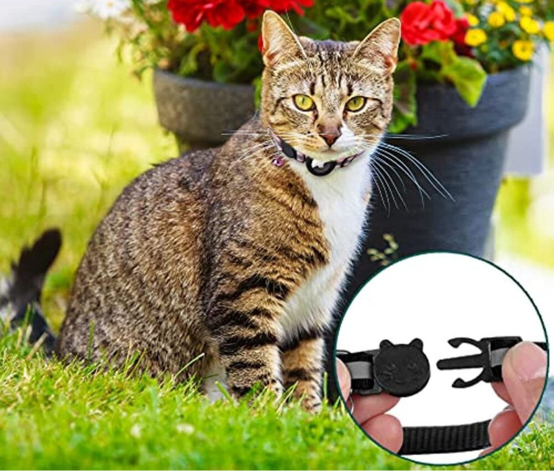 GPS Collar for Cats - Safe and Reflective