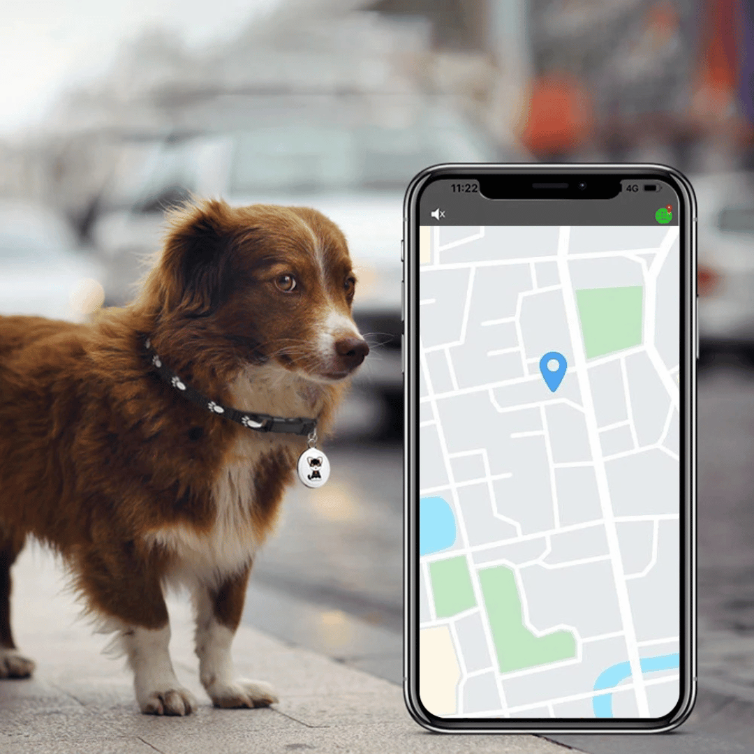 GPS Locator for Pets with Real-Time Tracking and Sound Alarm - Waterproof Design for Dogs and Cats
