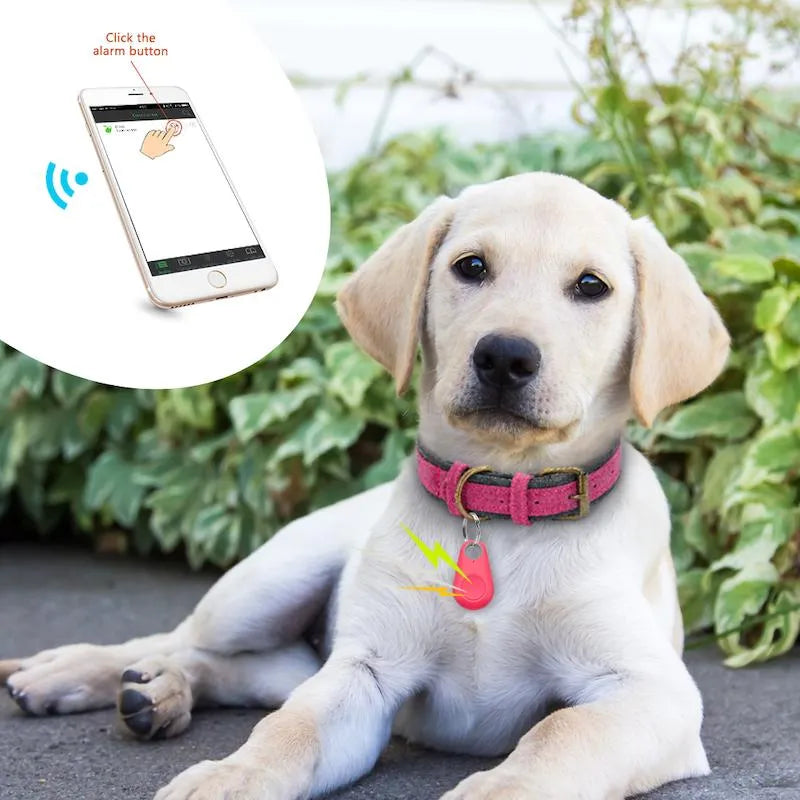 GPS Pet Tracker - Real-Time Location | Waterproof