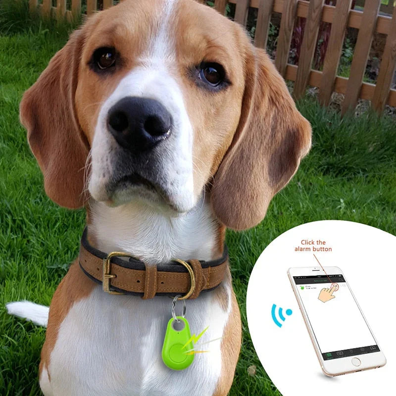 GPS Pet Tracker - Real-Time Location | Waterproof