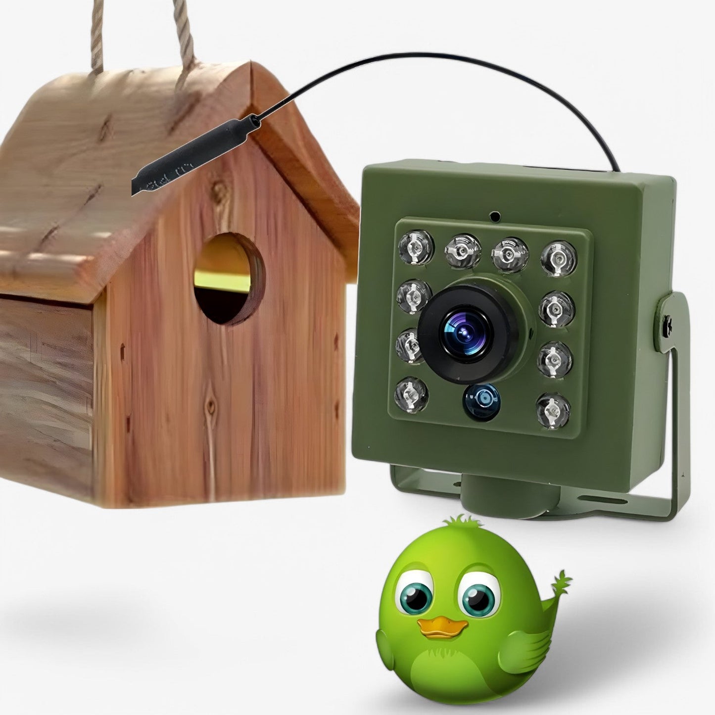 HD WiFi Bird Nest Camera – 1080p Waterproof Outdoor Wildlife Camera with Night Vision
