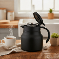 Insulated Teapot with Infuser and Ceramic Liner - 800ml