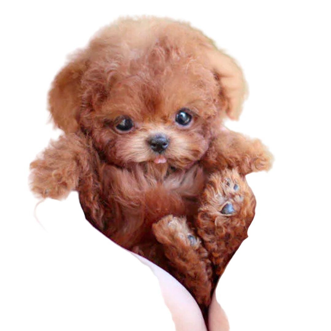 Interactive Plush Puppy - Realistic Design with Movement Features - Ideal for Teaching Care for Children