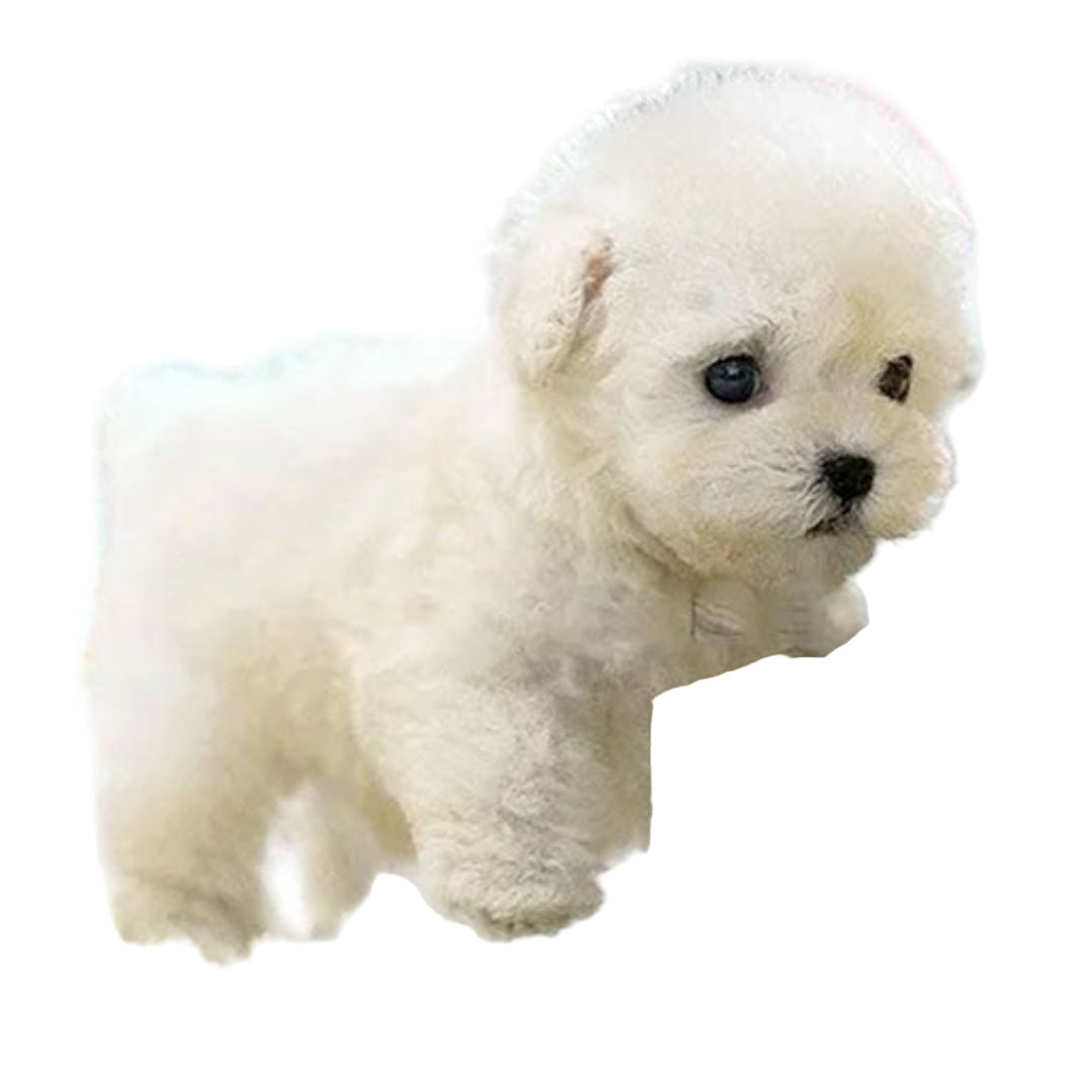 Interactive Plush Puppy - Realistic Design with Movement Features - Ideal for Teaching Care for Children