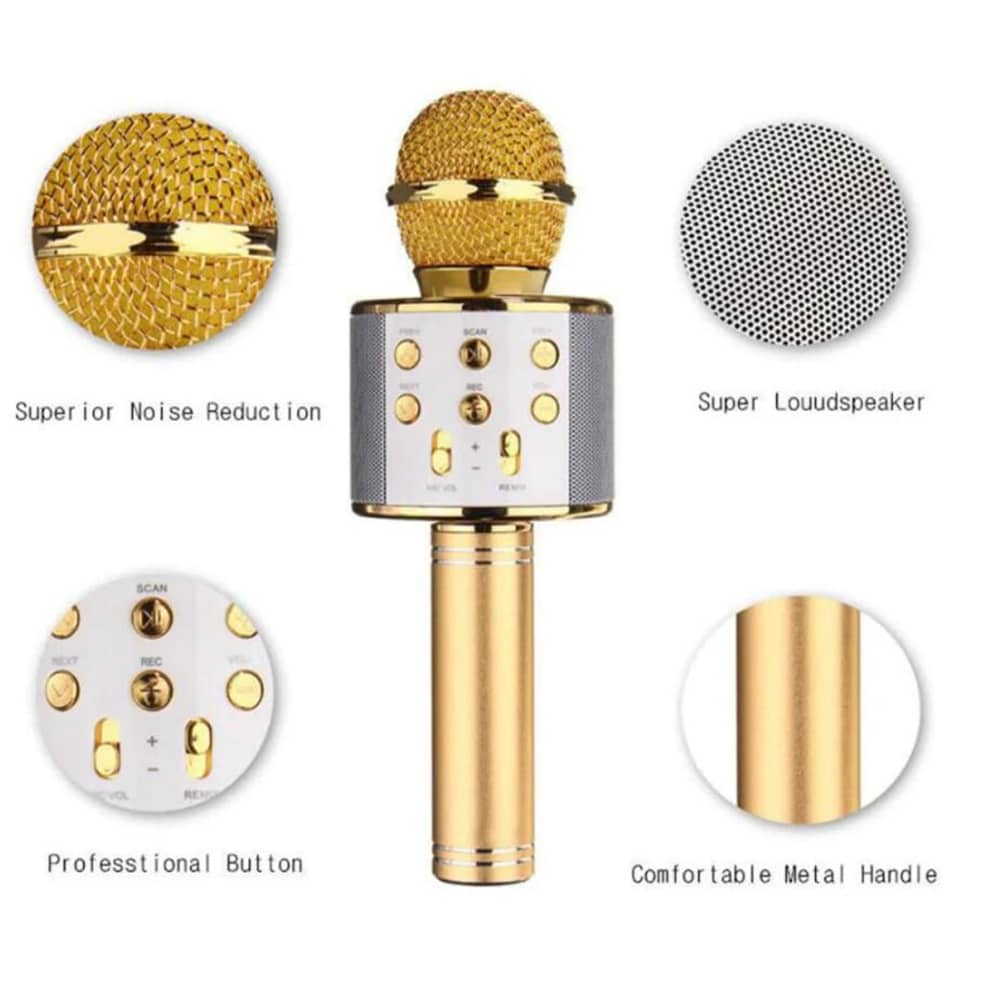 Karaoke Microphone with Bluetooth & Speaker