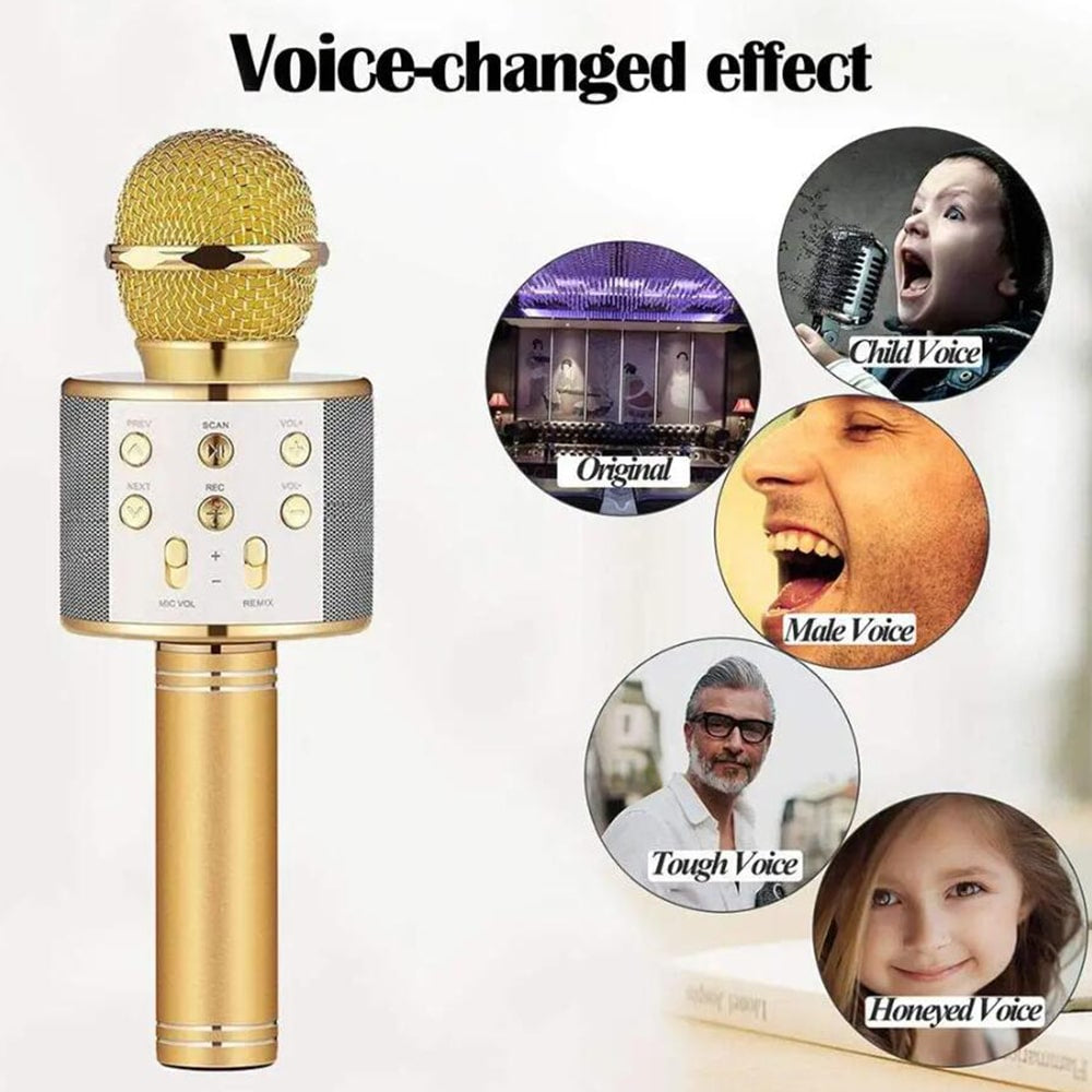 Karaoke Microphone with Bluetooth & Speaker