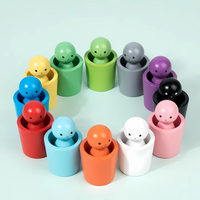 Kids Wooden Color Sorting Toy