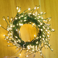 Ledsen™ FairyLights: Radiant Firework Wire LED String Fairy Lights