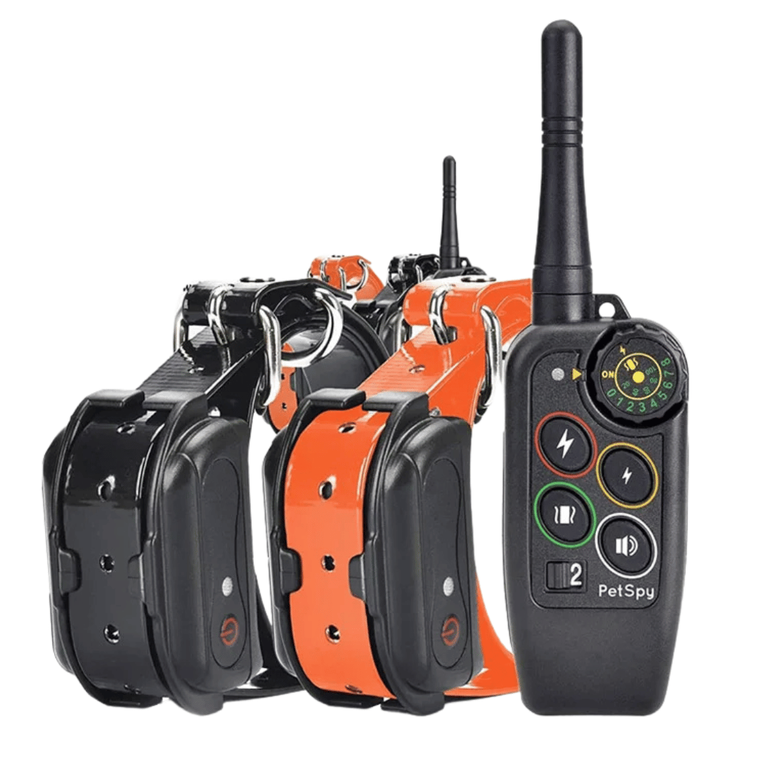 Long Range 1000m Waterproof Dog Training E-Collar & Remote