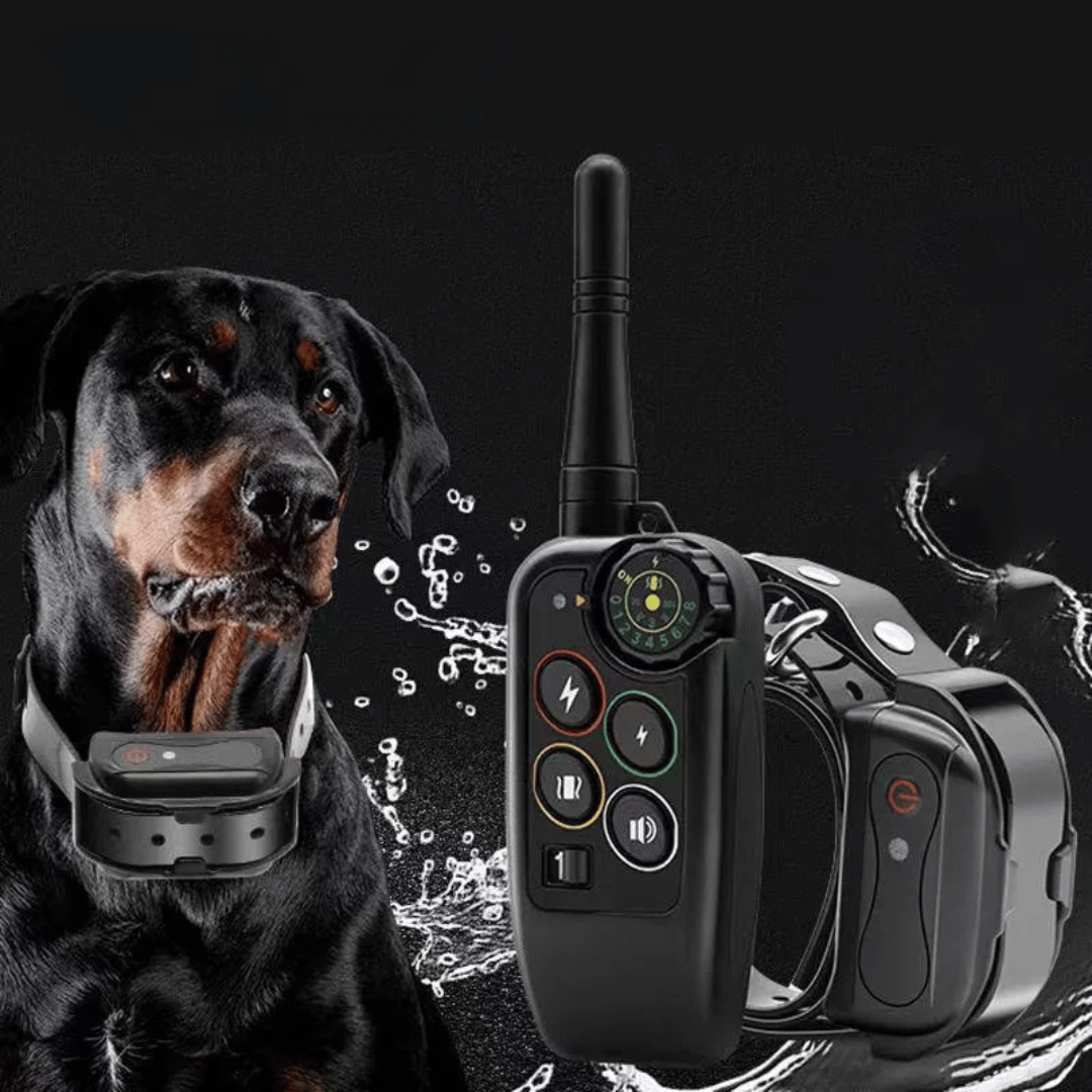 Long Range 1000m Waterproof Dog Training E-Collar & Remote