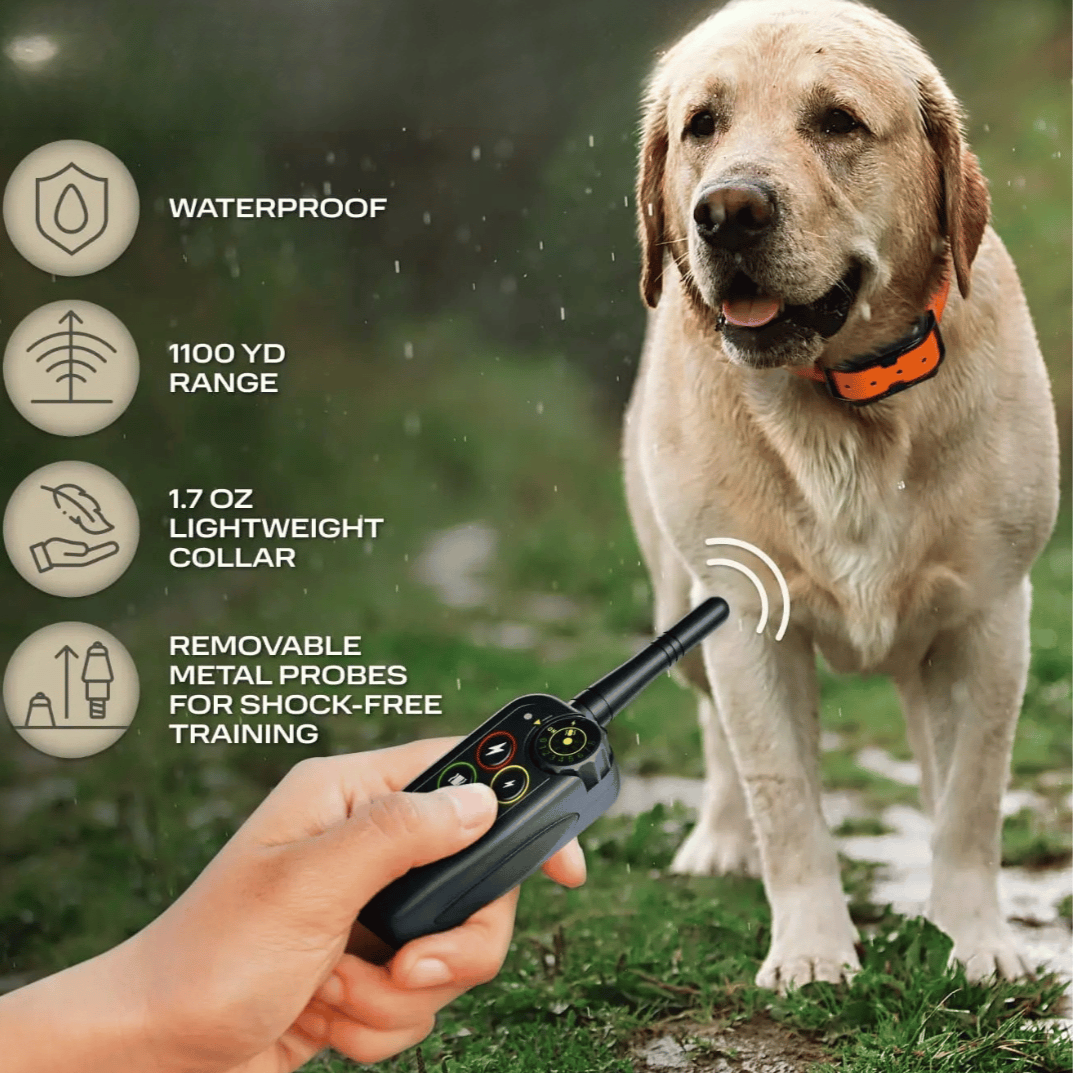 Long Range 1000m Waterproof Dog Training E-Collar & Remote