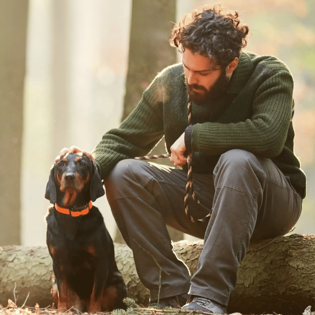 Long Range 1000m Waterproof Dog Training E-Collar & Remote