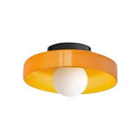 Modern Ceiling Lamp with Stylish Colours