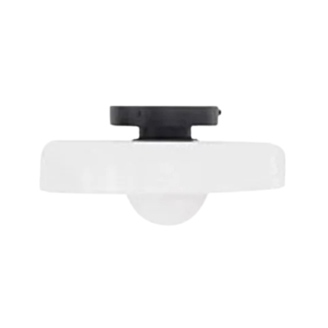 Modern Ceiling Lamp with Stylish Colours