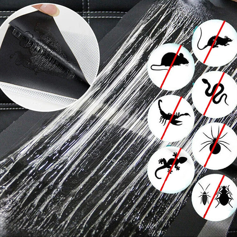 Mouse Trap with Strong Adhesive and Hygienic Design