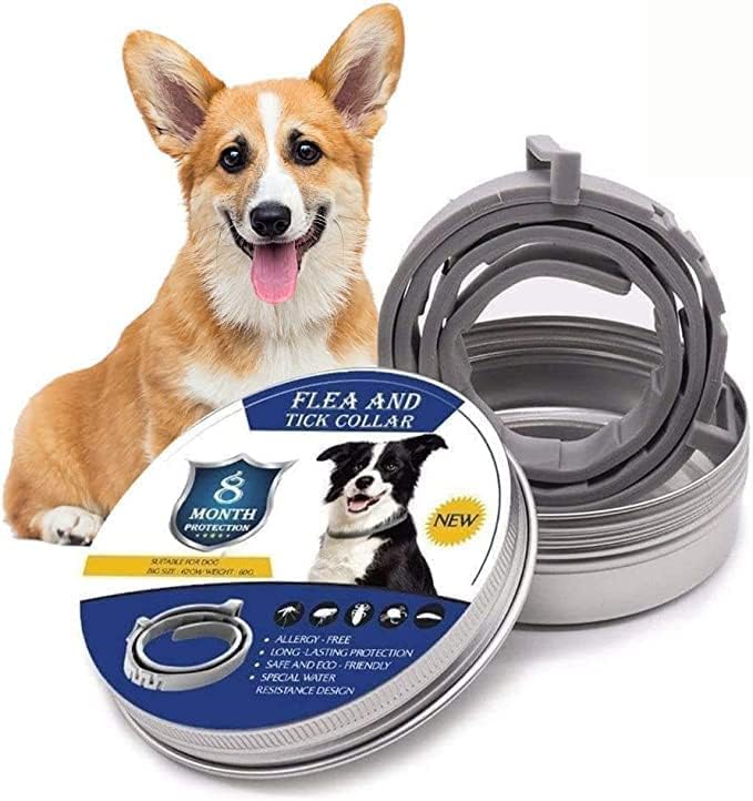 Natural Tick and Flea Protection for Dogs