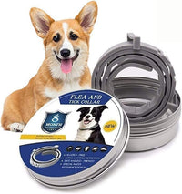 Natural Tick and Flea Protection for Dogs
