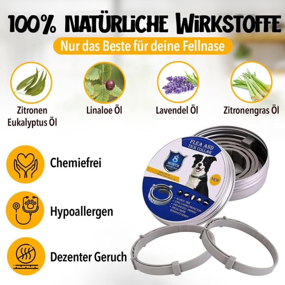 Natural Tick and Flea Protection for Dogs