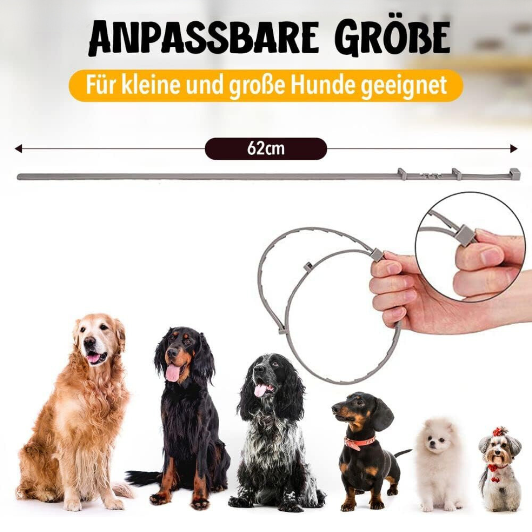 Natural Tick and Flea Protection for Dogs