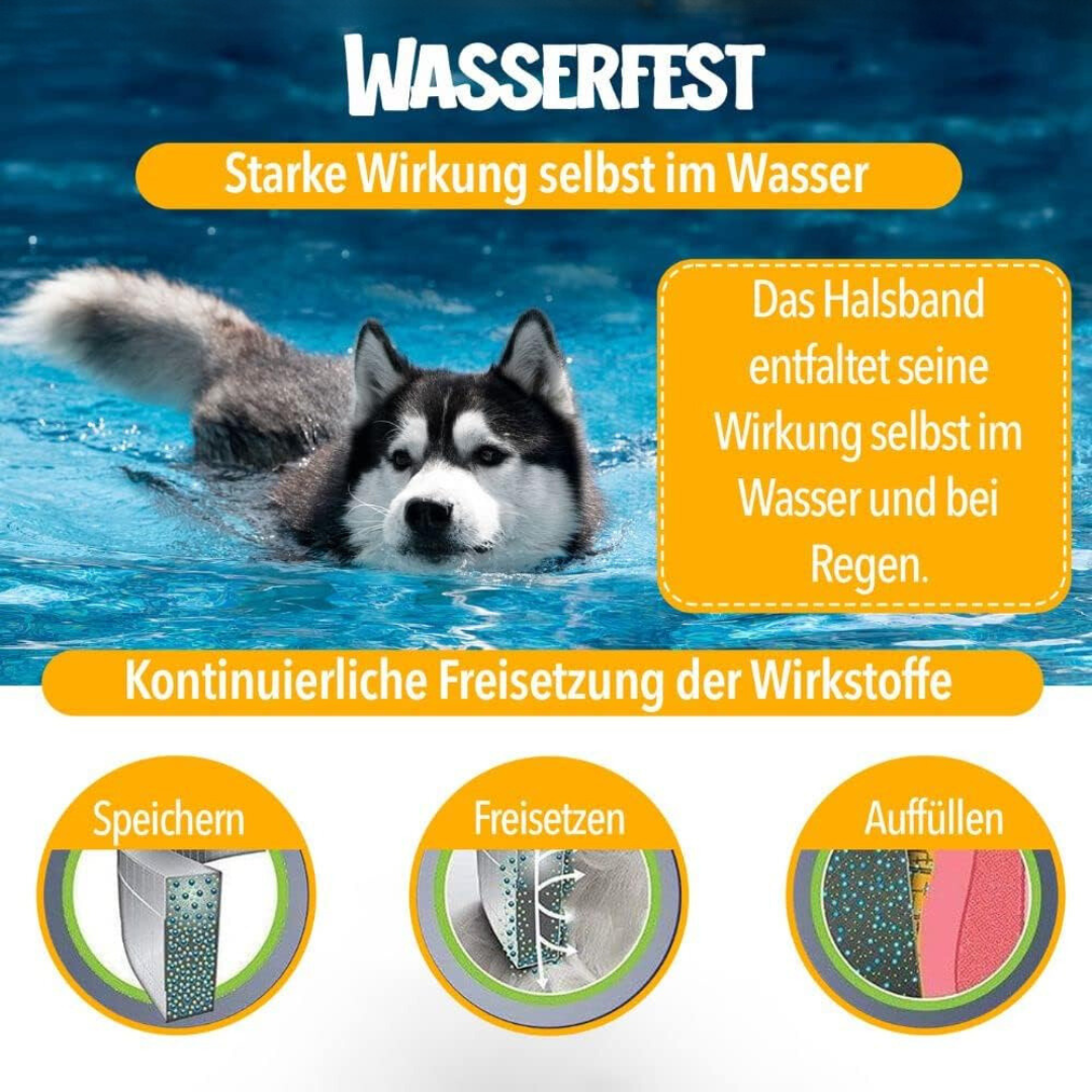 Natural Tick and Flea Protection for Dogs