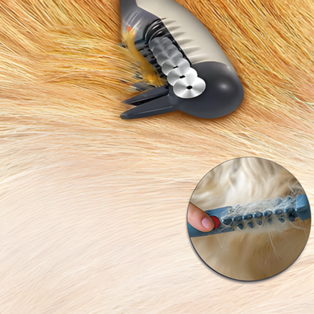 No More Tangles and Knots for Your Pet