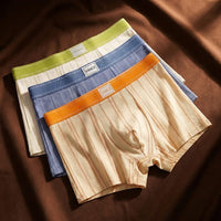 Organic Cotton Boxer Briefs