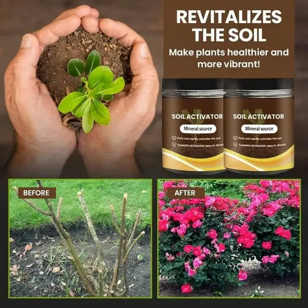 Organic Soil Activator for Robust Plant Growth