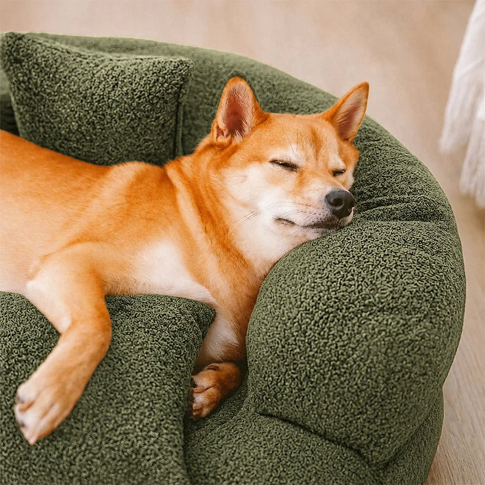 Orthopedic Dog Bed in Donut Shape Made of Diamond Velvet for Maximum Comfort