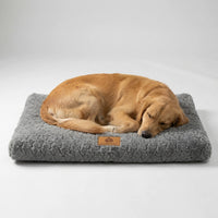 Pawventure Flat Orthopedic Foam Dog Mat