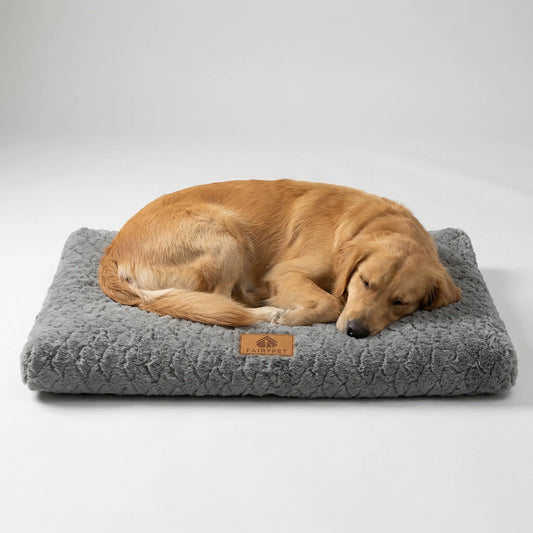 Pawventure Flat Orthopedic Foam Dog Mat