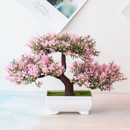 Plant Bonsai