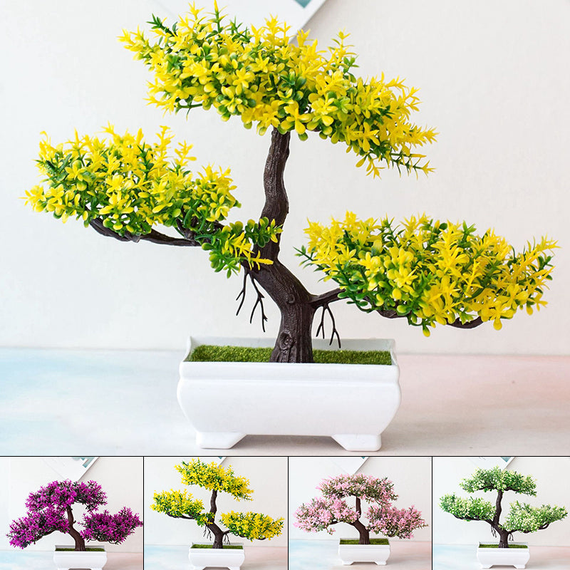 Plant Bonsai