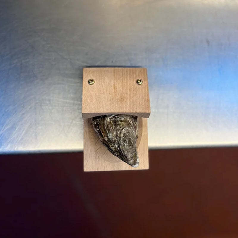 Premium wood handle oyster shell opener clamp