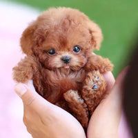 Realistic Interactive Robot Puppy for Home Companionship