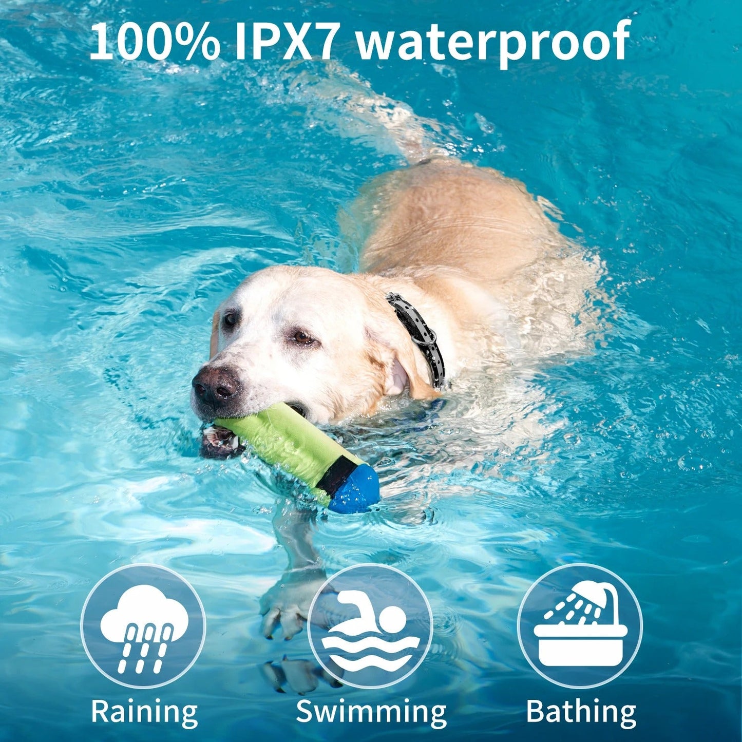 Rechargeable Waterproof Dog Training Collar