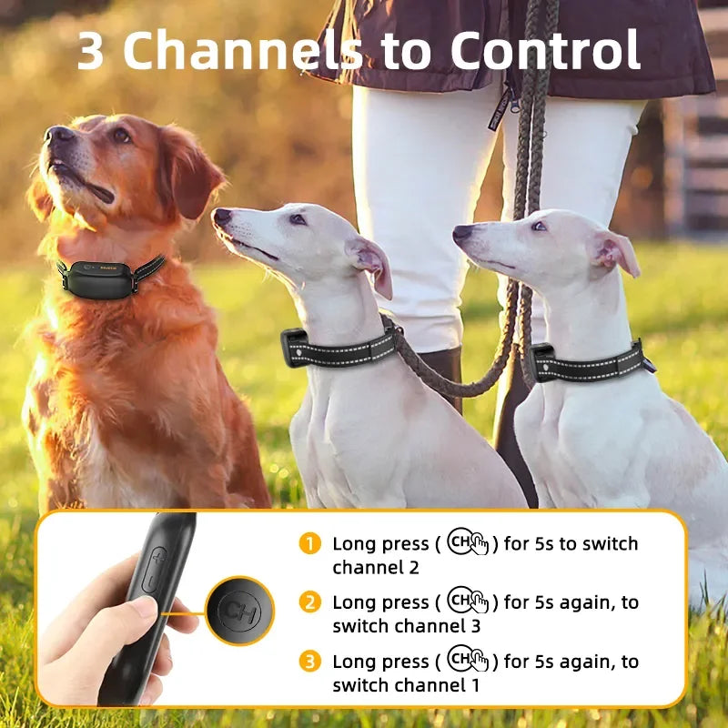 Rechargeable Waterproof Dog Training Collar with Remote