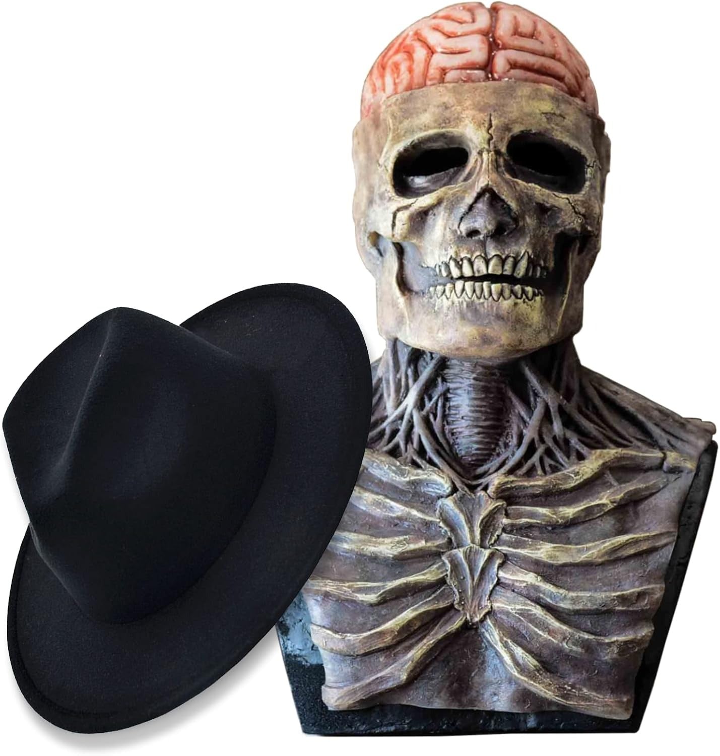 Skeleton Mask: Realistic Scary Skeleton Halloween Mask Costume