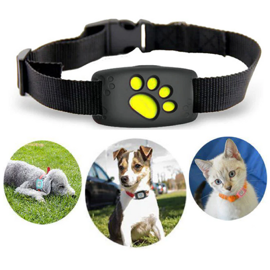 Smart GPS Cat Collar | Real-Time Tracking & Safety