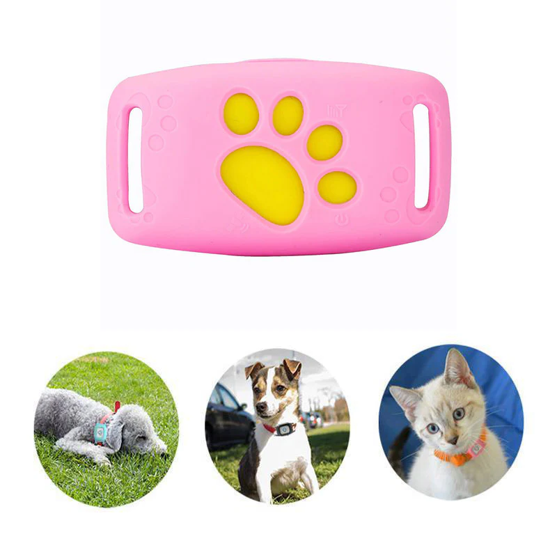 Smart GPS Cat Collar | Real-Time Tracking & Safety