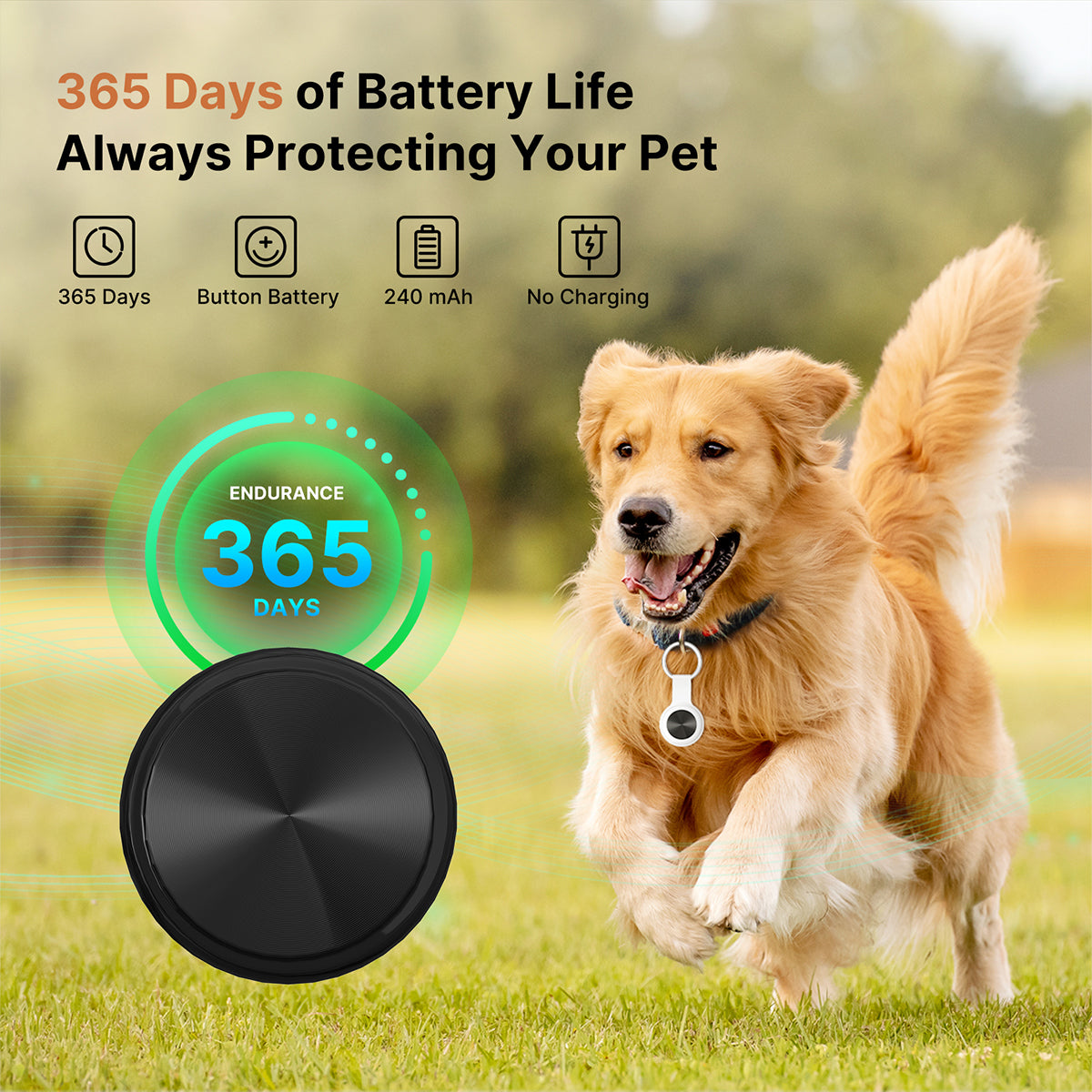 Smart Pet GPS Tracker