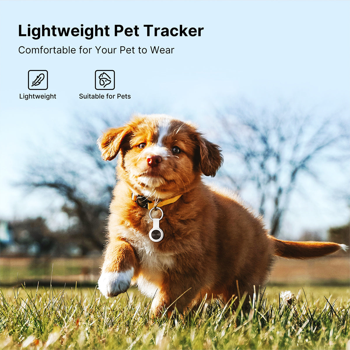 Smart Pet GPS Tracker