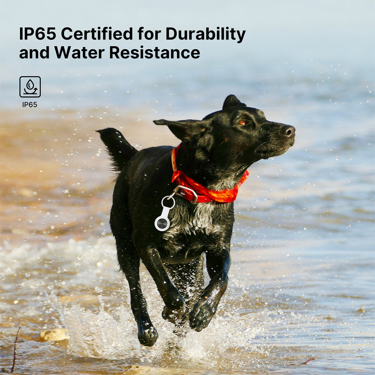 Smart Pet GPS Tracker