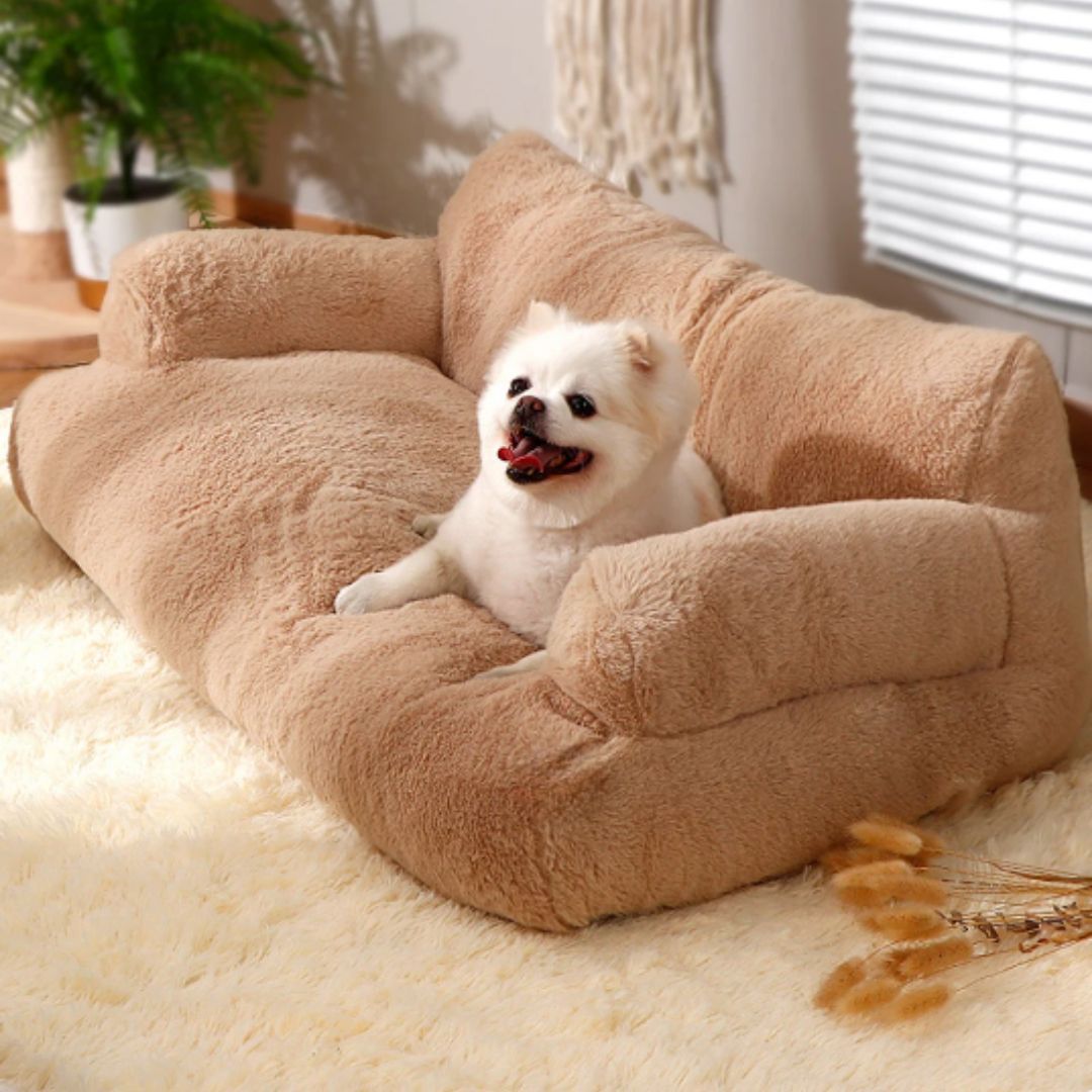 Sofa for calming pets