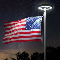 Solar-Powered LED Flagpole Lights for Night Illumination