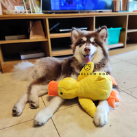 Soothing Duck - Dog Toy for Joy and Well-being