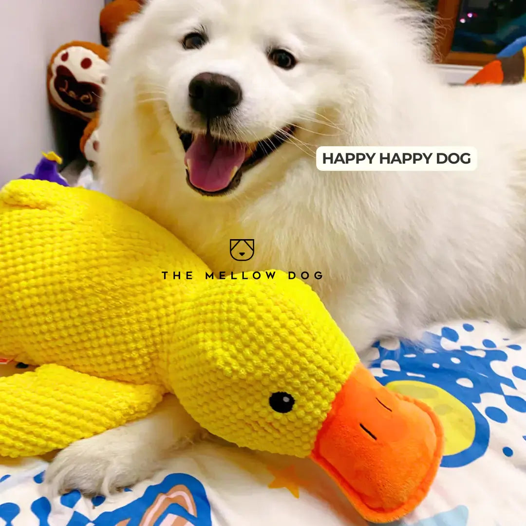Soothing Duck - Dog Toy for Joy and Well-being