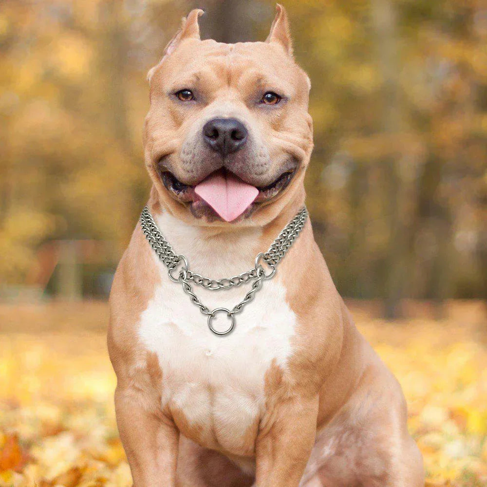 Stainless Steel Dog Training Collar