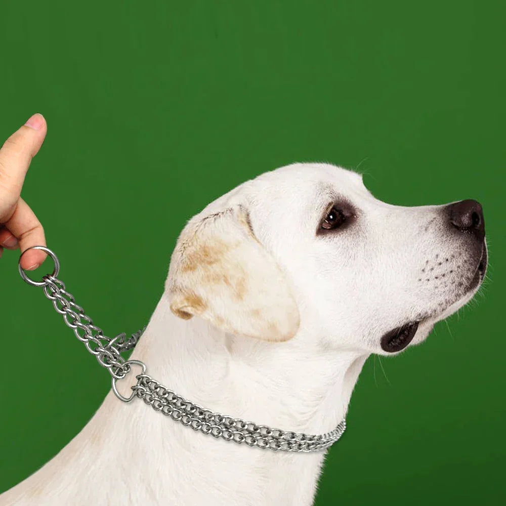 Stainless Steel Dog Training Collar